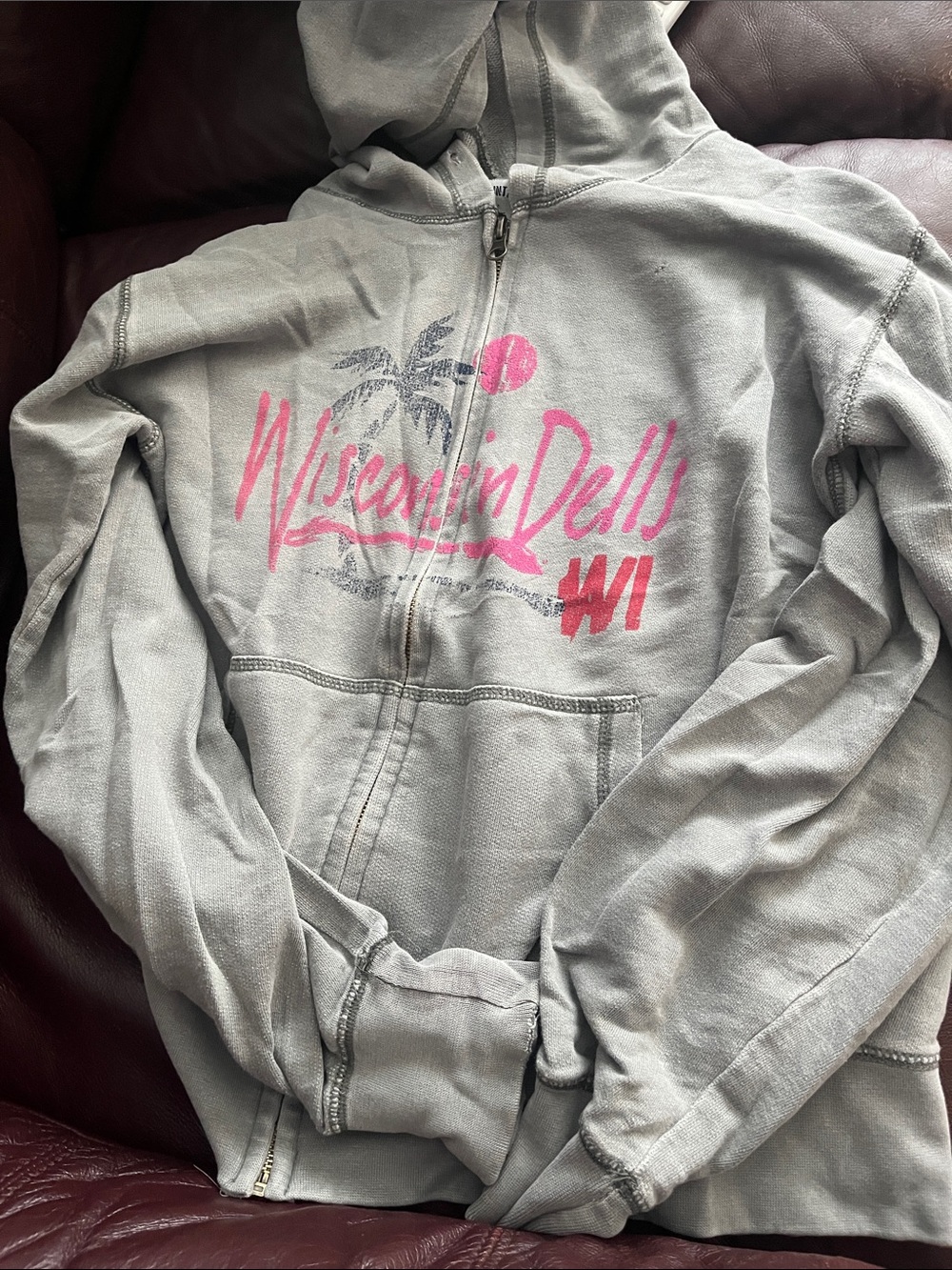 U.S. Vintage Light Gray Zip Hoodie with Graphic Wisconsin dells